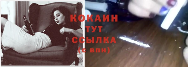 Альфа ПВП Пестово