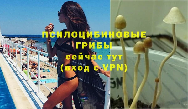 шишки Алексеевка