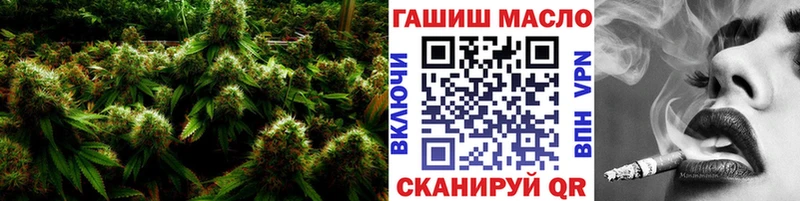 как найти   Советск  ТГК гашишное масло 