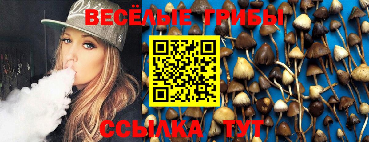Галлюциногенные грибы MAGIC MUSHROOMS  наркотики  Галлюциногенные грибы Psilocybe  Советск  Вход с VPN 